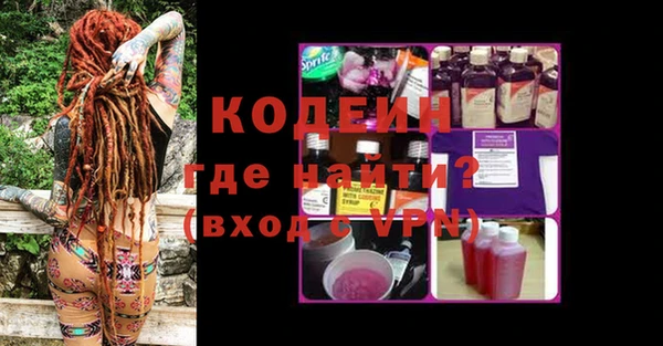 амф Гусев