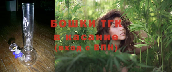 дживик Гусь-Хрустальный