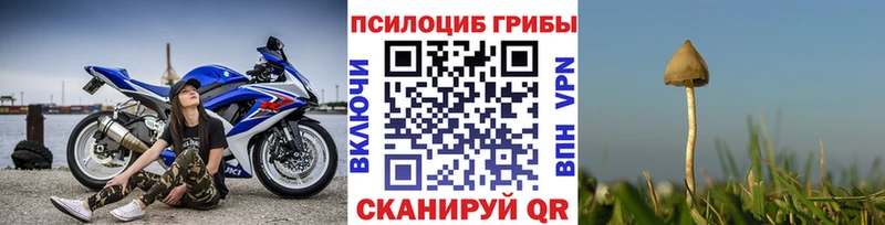мега ссылки  Железногорск  Псилоцибиновые грибы ЛСД 