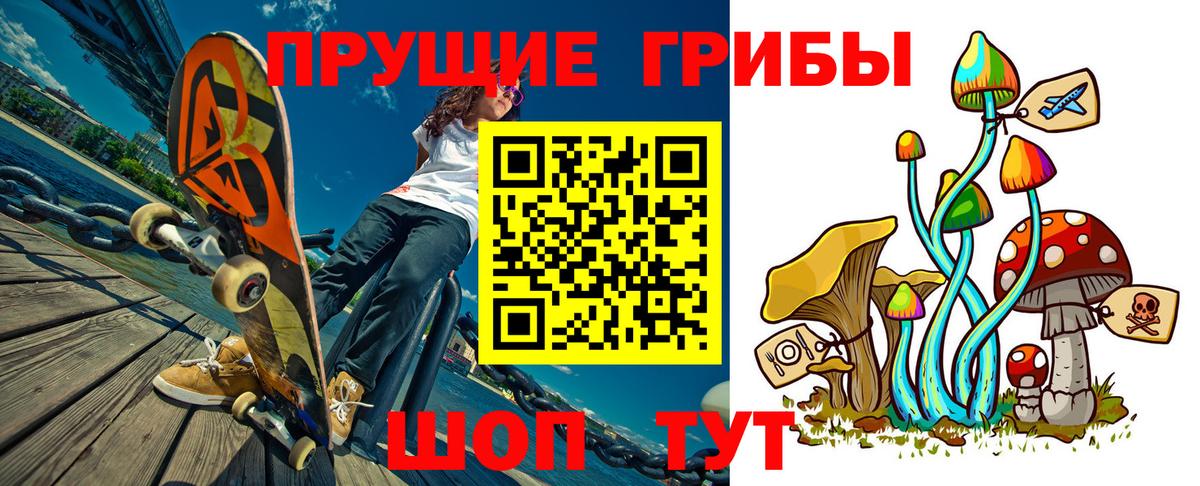 Галлюциногенные грибы Cubensis Железногорск