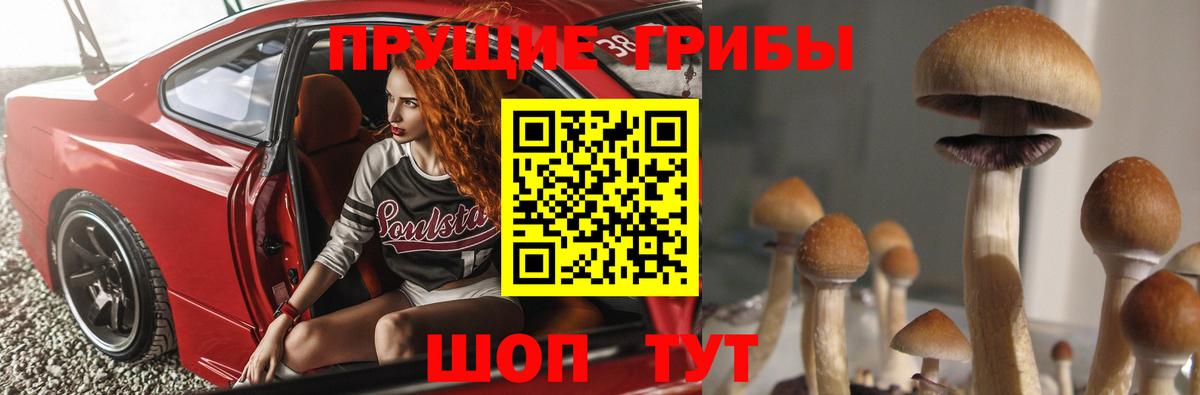 Псилоцибиновые грибы MAGIC MUSHROOMS  Вход с VPN  закладка  Железногорск 